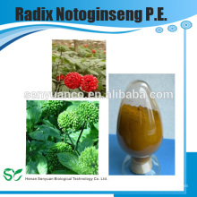 Высококачественный травяной экстракт Radix Notoginseng PE